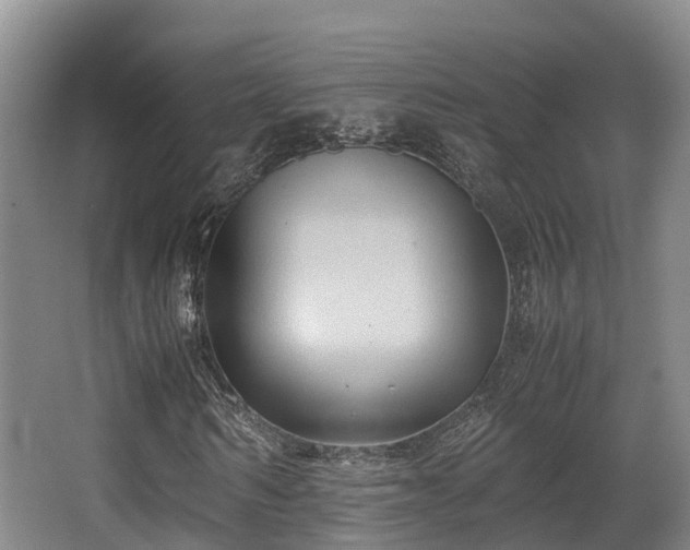 X0000062830962200601171415