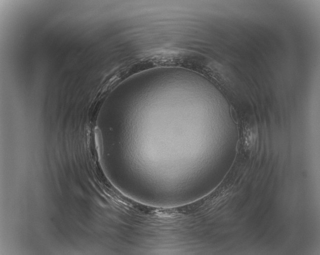 X0000062830964200601171415