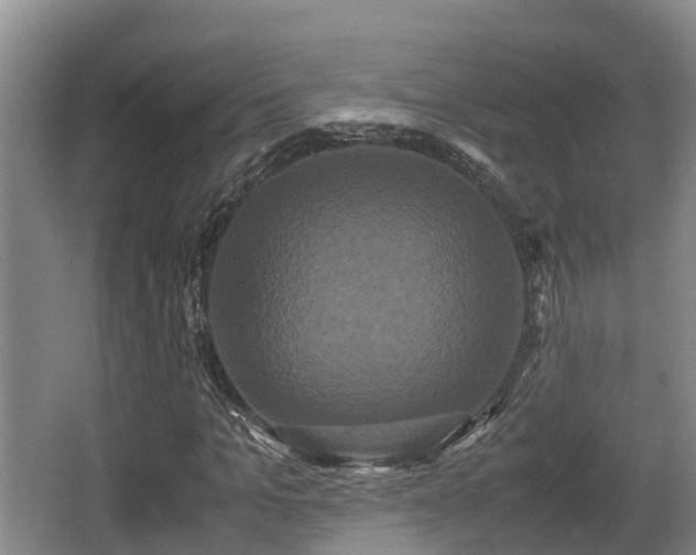 X0000062830965200601171415