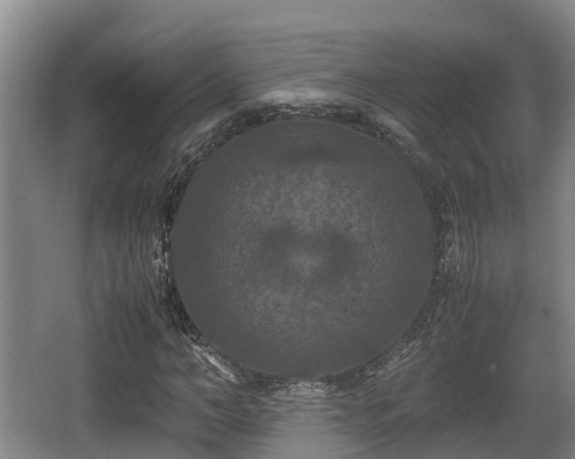 X0000062830966200601171415