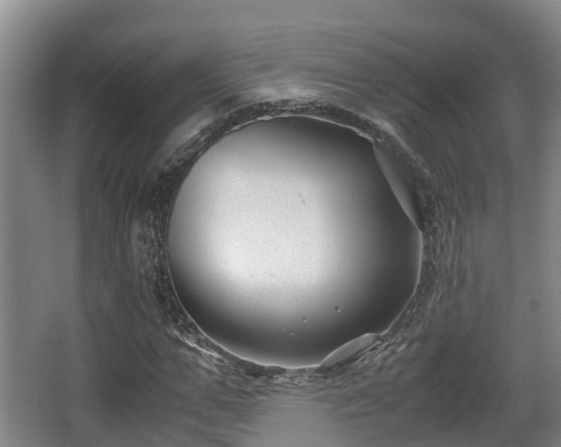 X0000062830967200601171415