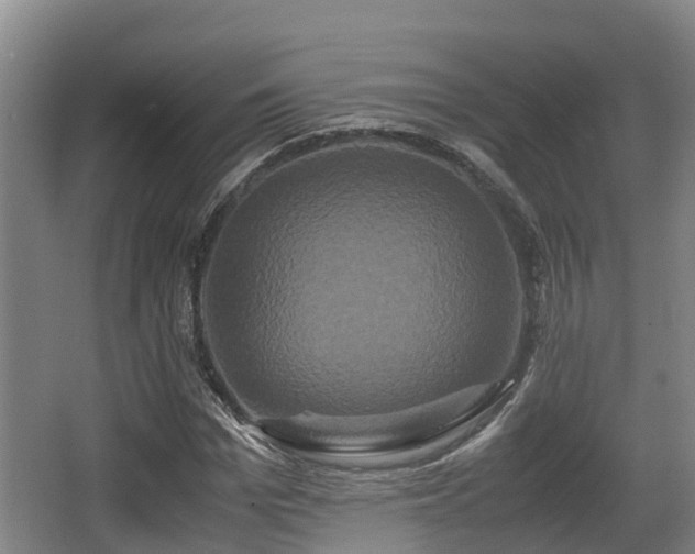 X0000062830969200601171415