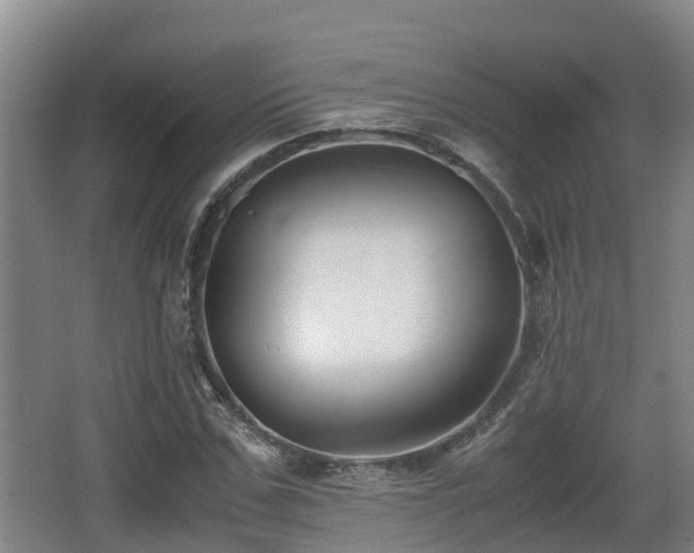 X0000062830971200601171415