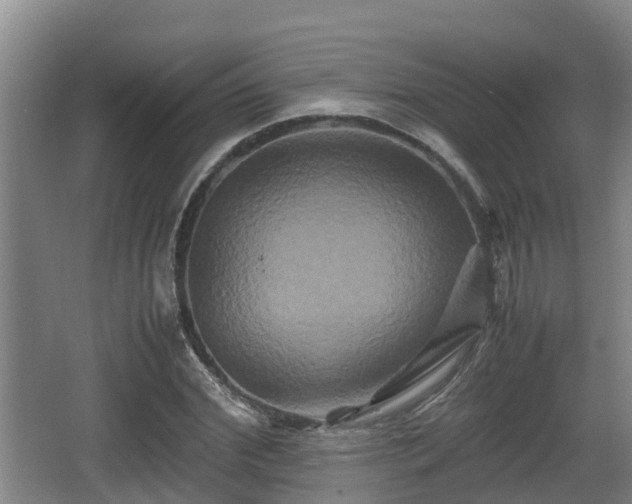 X0000062830972200601171415