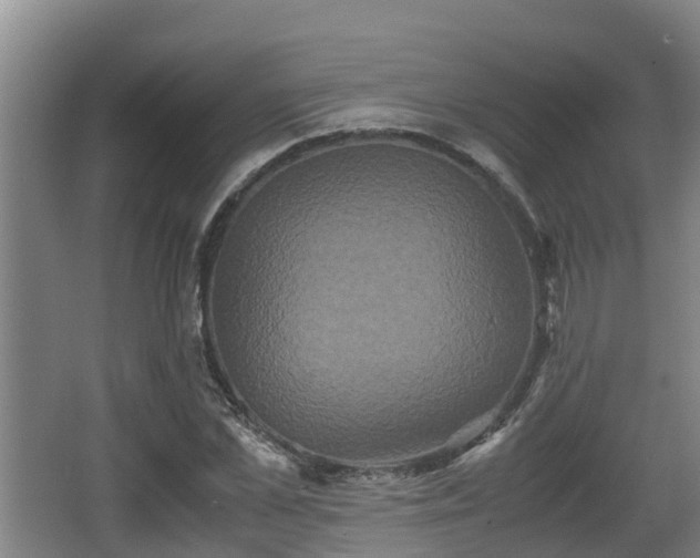 X0000062830973200601171415