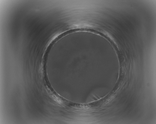 X0000062830975200601171415