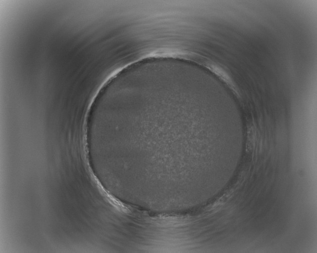 X0000062830976200601171415