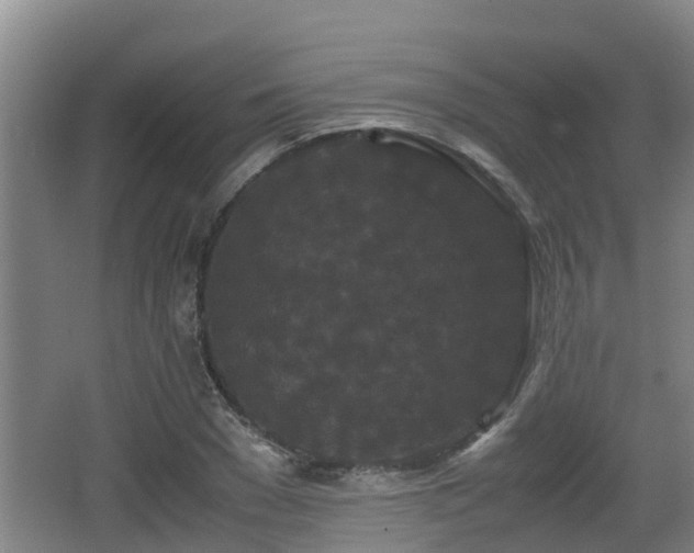 X0000062830977200601171415