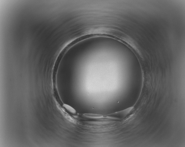 X0000062830980200601171415