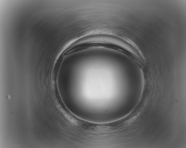 X0000062830981200601171415