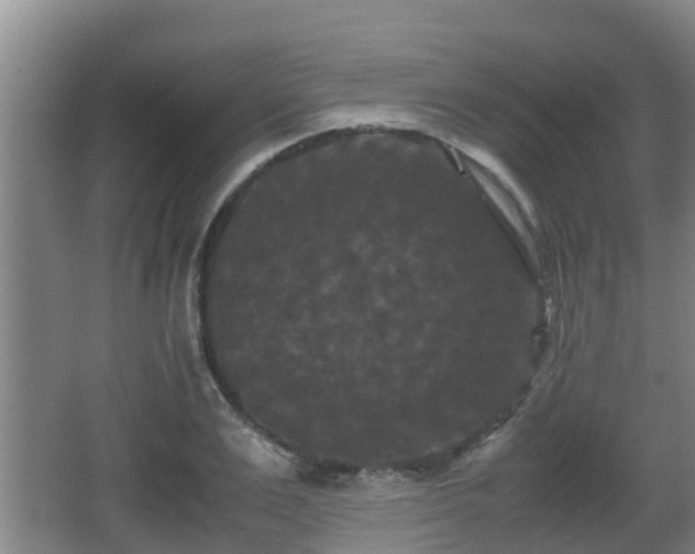 X0000062830983200601171415