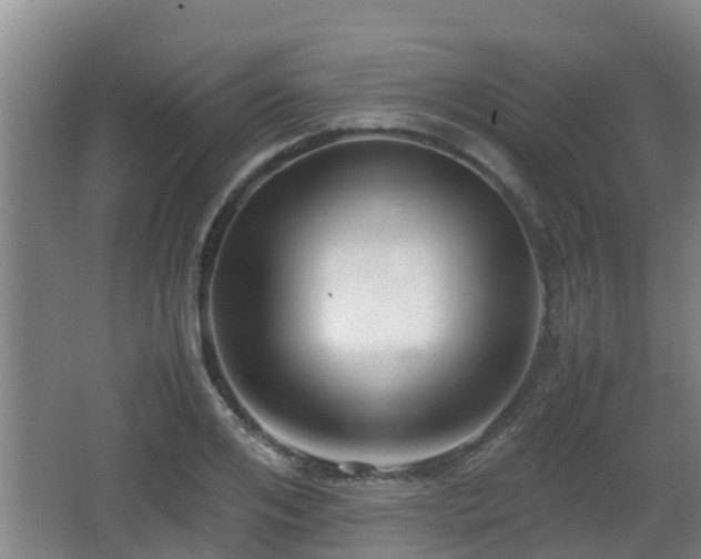 X0000062830984200601171415