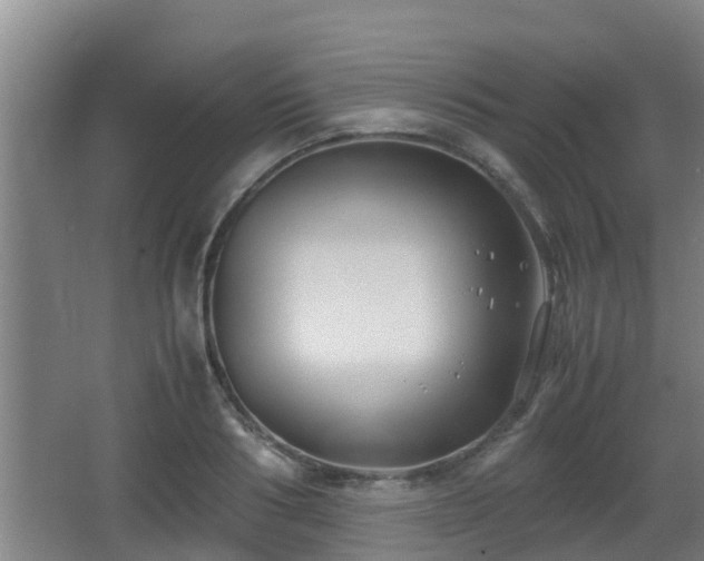 X0000062830986200601171415