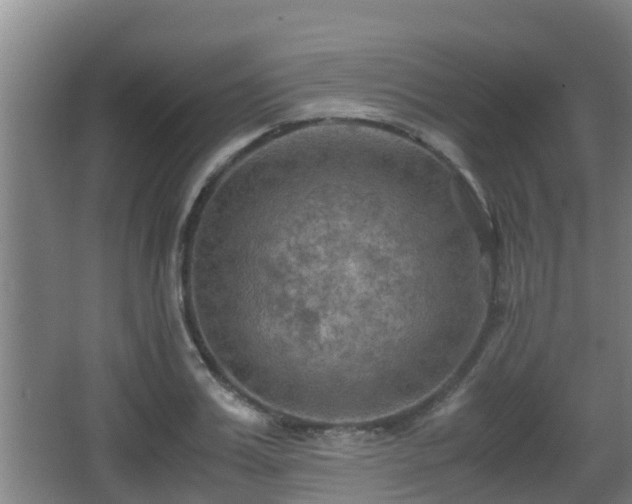 X0000062830987200601171415