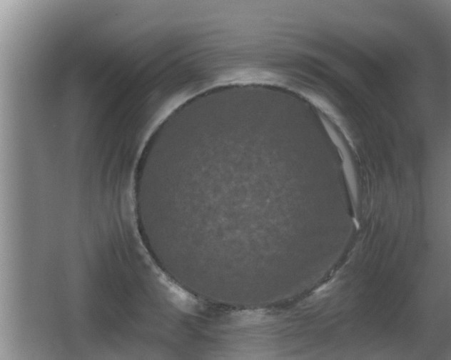 X0000062830990200601171415