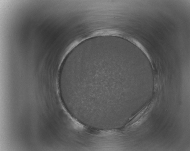 X0000062830997200601171415