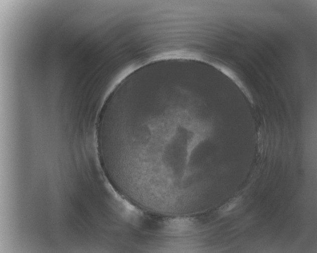 X0000062830998200601171415