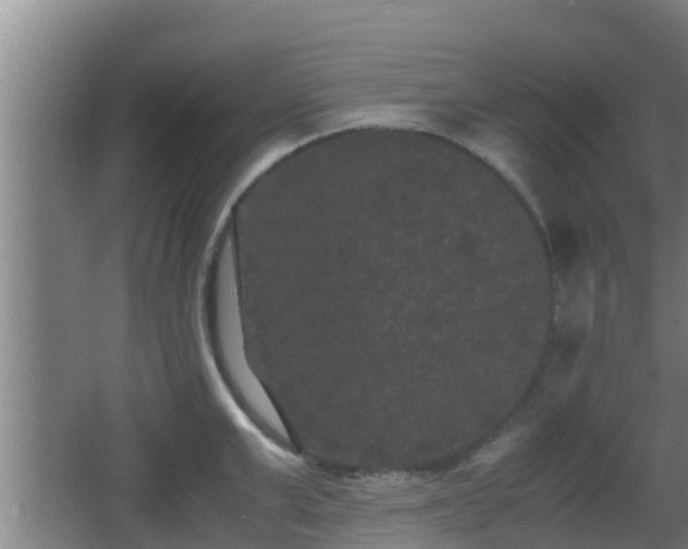 X0000062830999200601171414