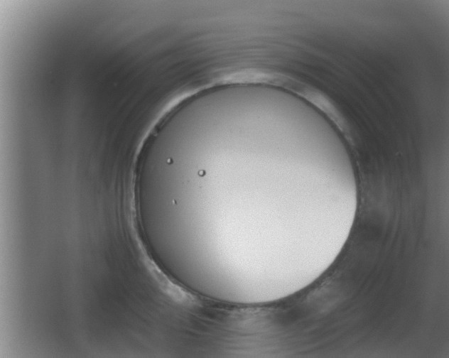 X0000062831000200601171414