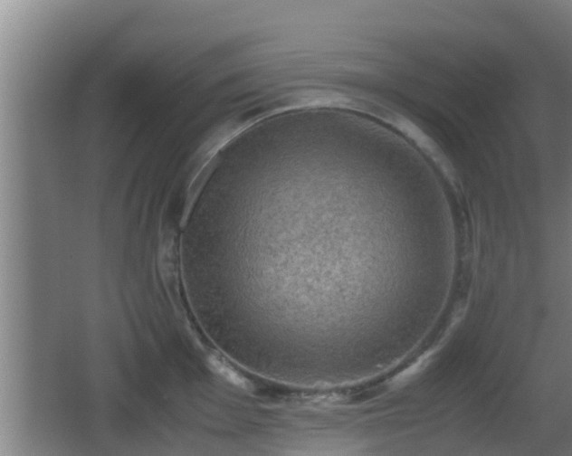 X0000062831001200601171414