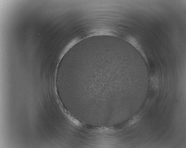 X0000062831002200601171414