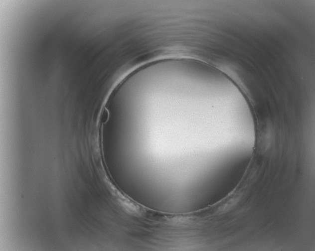 X0000062831004200601171414