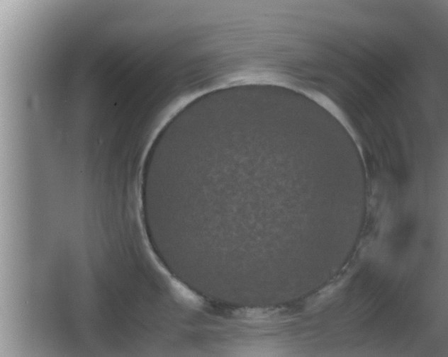 X0000062831005200601171414