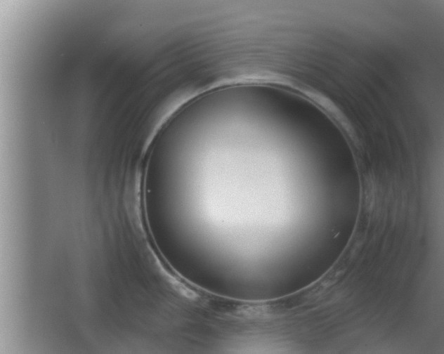 X0000062831006200601171414