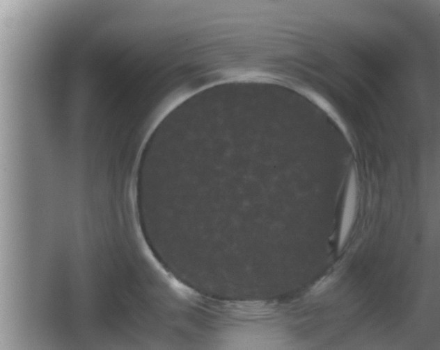 X0000062831007200601171414