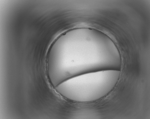 X0000062831008200601171414