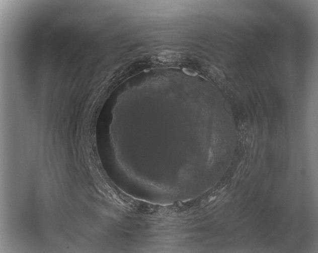 X0000062831009200601171414