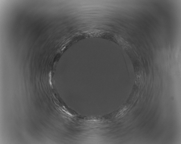 X0000062831010200601171414