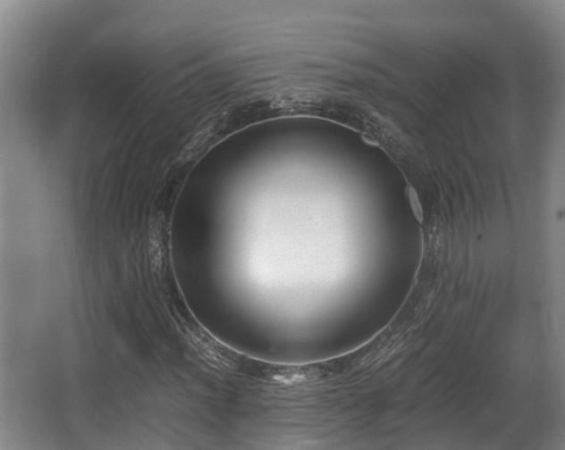 X0000062831012200601171414