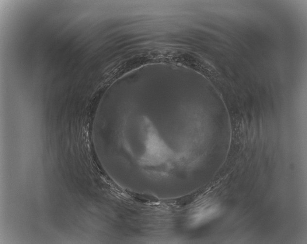 X0000062831013200601171414