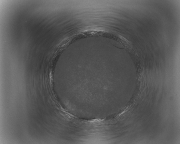 X0000062831014200601171414