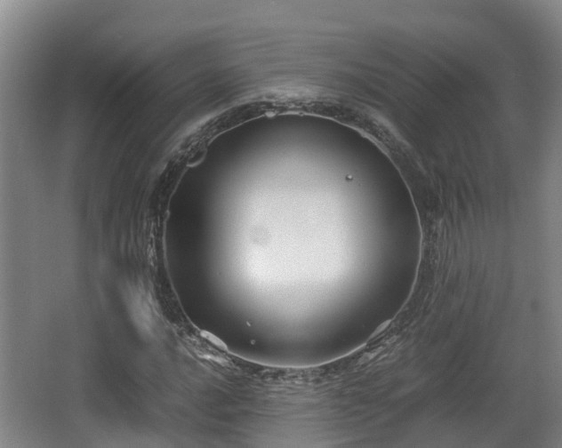 X0000062831016200601171414