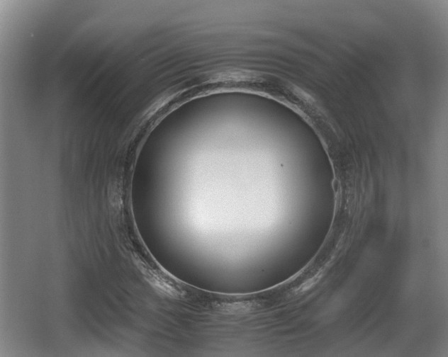 X0000062831017200601171414