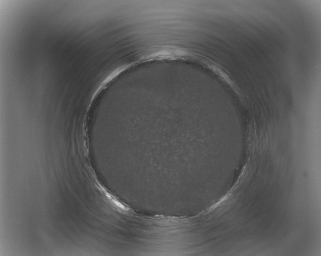 X0000062831018200601171414