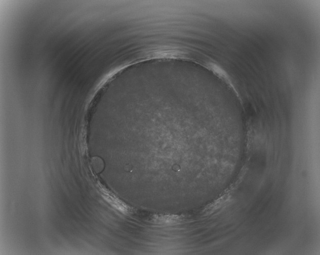 X0000062831019200601171414