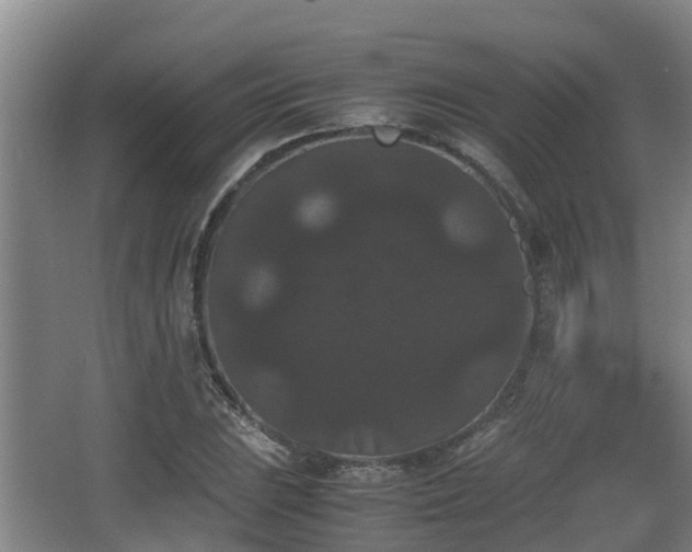 X0000062831023200601171414