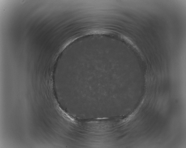 X0000062831025200601171414