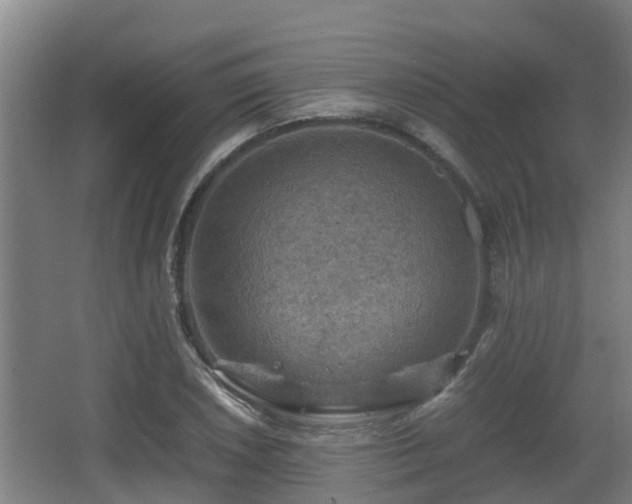 X0000062831026200601171414