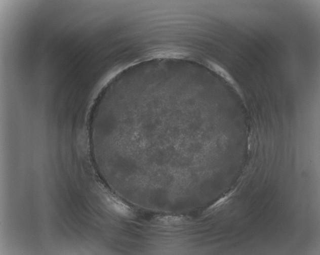 X0000062831027200601171414