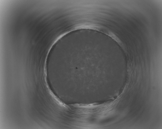 X0000062831028200601171414