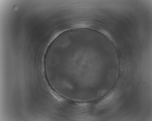 X0000062831031200601171414