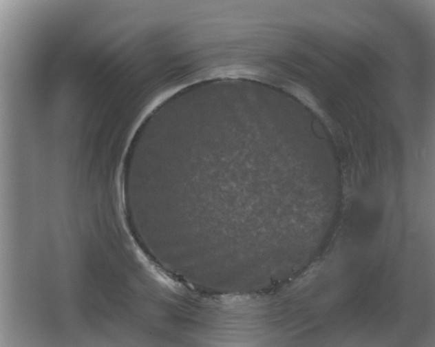 X0000062831032200601171414