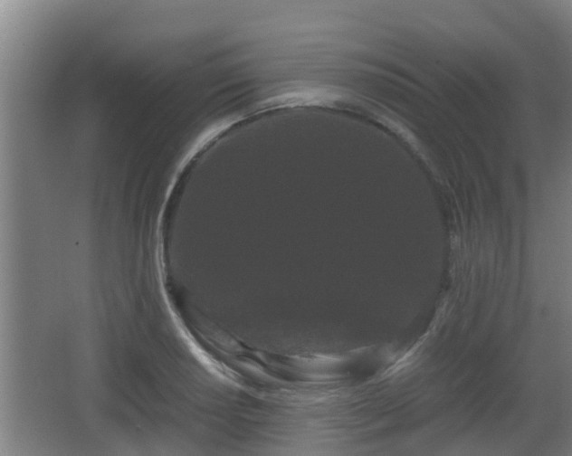 X0000062831034200601171414