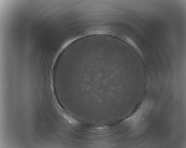 X0000062831035200601171414