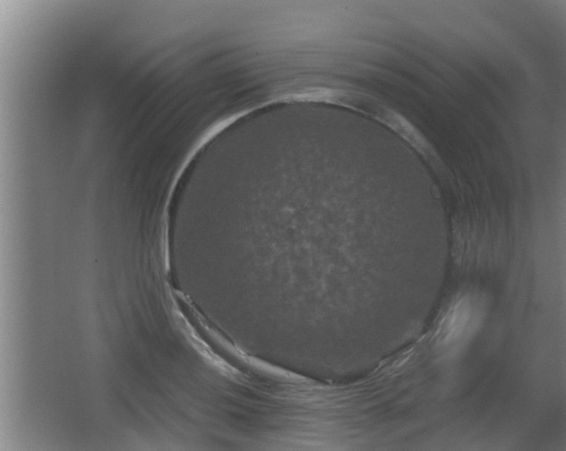 X0000062831036200601171414