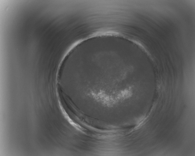 X0000062831038200601171414